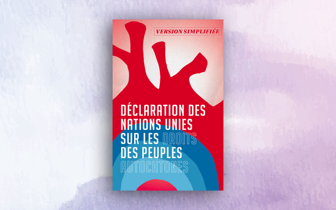 United Nations Declaration on the Rights of Indigenous Peoples