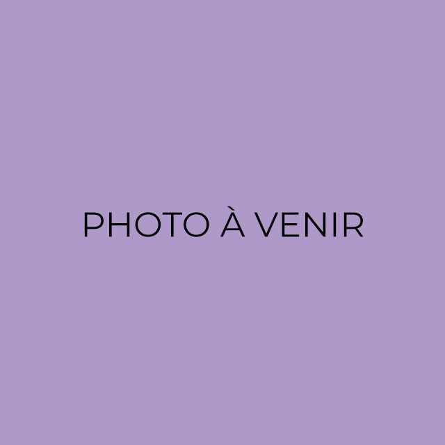 Ambassadaires-ToCome
